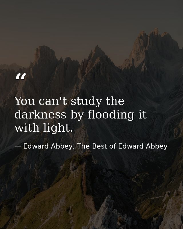 You can't study the darkness by flooding it with light. — Edward Abbey, The Best of Edward Abbey