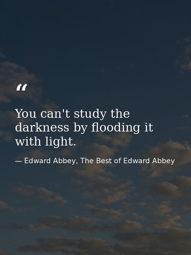 You can't study the darkness by flooding it with light. — Edward Abbey, The Best of Edward Abbey