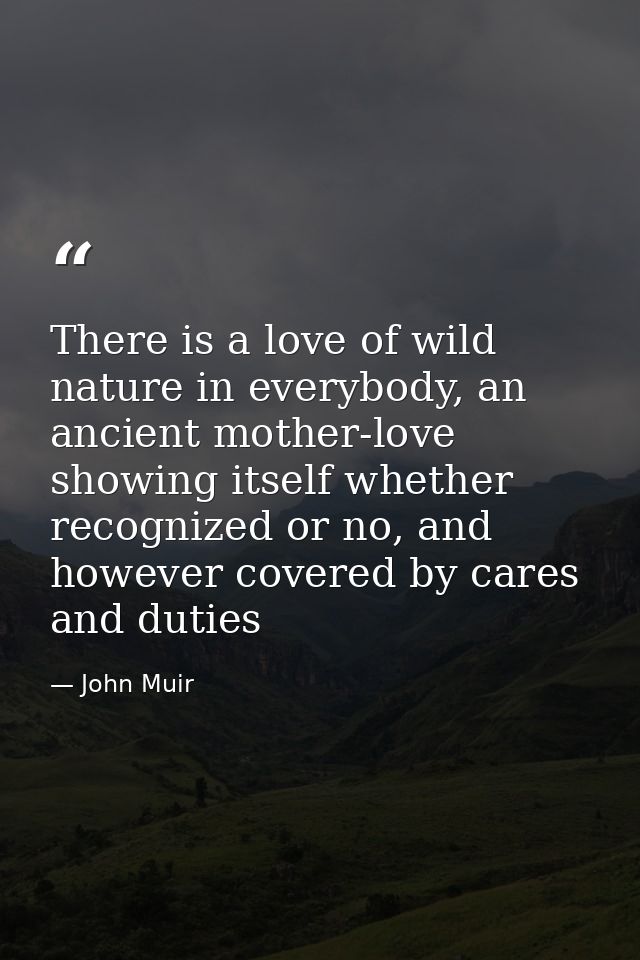 There is a love of wild nature in everybody, an ancient mother-love showing itself whether recognized or no, and however — John Muir