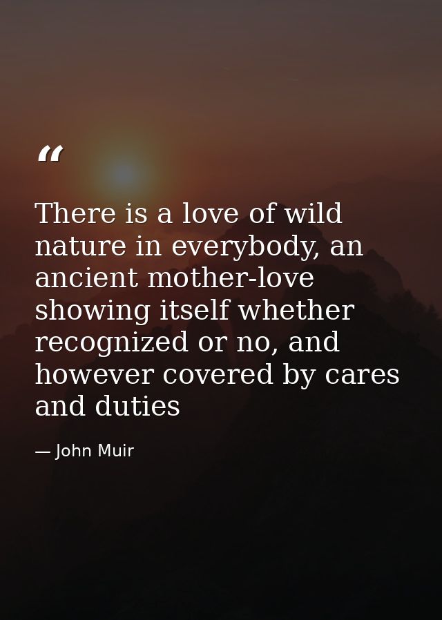 There is a love of wild nature in everybody, an ancient mother-love showing itself whether recognized or no, and however — John Muir