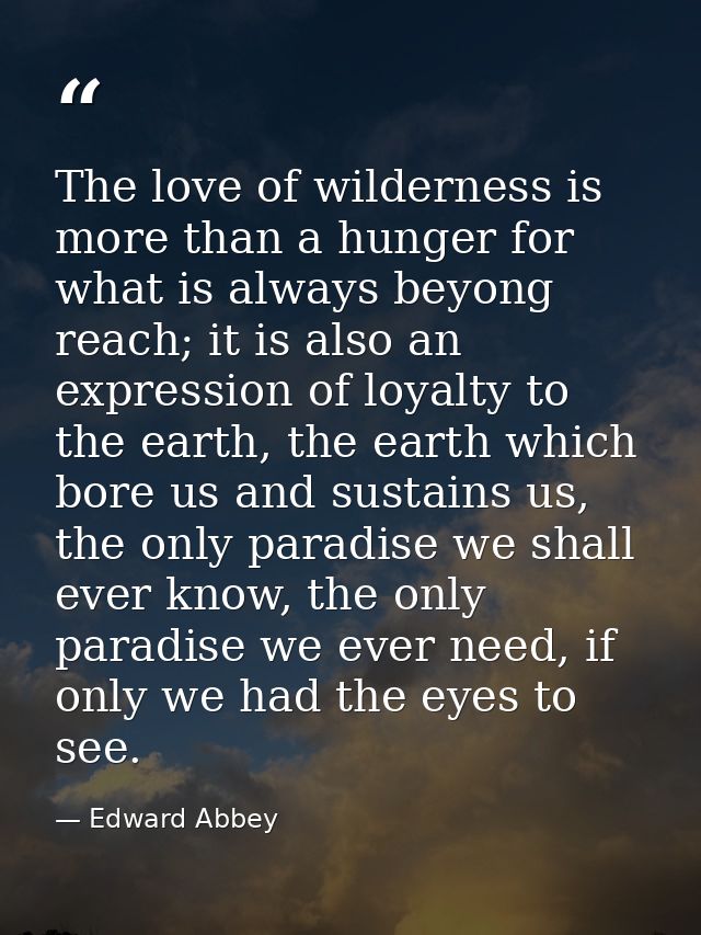 The love of wilderness is more than a hunger for what is always beyong reach; it is also an expression of loyalty to the — Edward Abbey