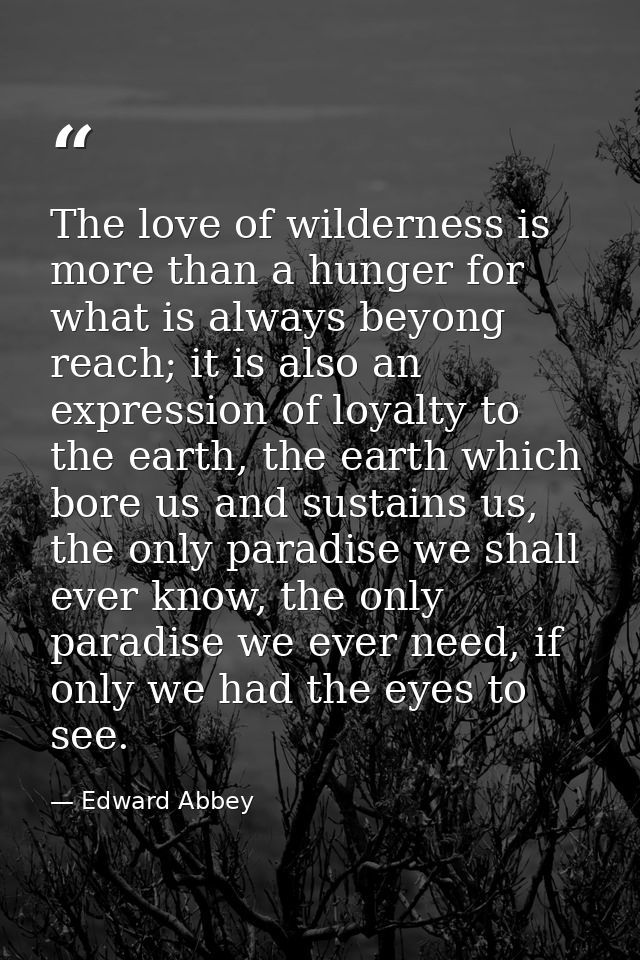 The love of wilderness is more than a hunger for what is always beyong reach; it is also an expression of loyalty to the — Edward Abbey