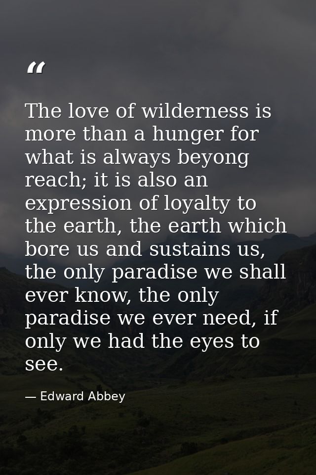 The love of wilderness is more than a hunger for what is always beyong reach; it is also an expression of loyalty to the — Edward Abbey