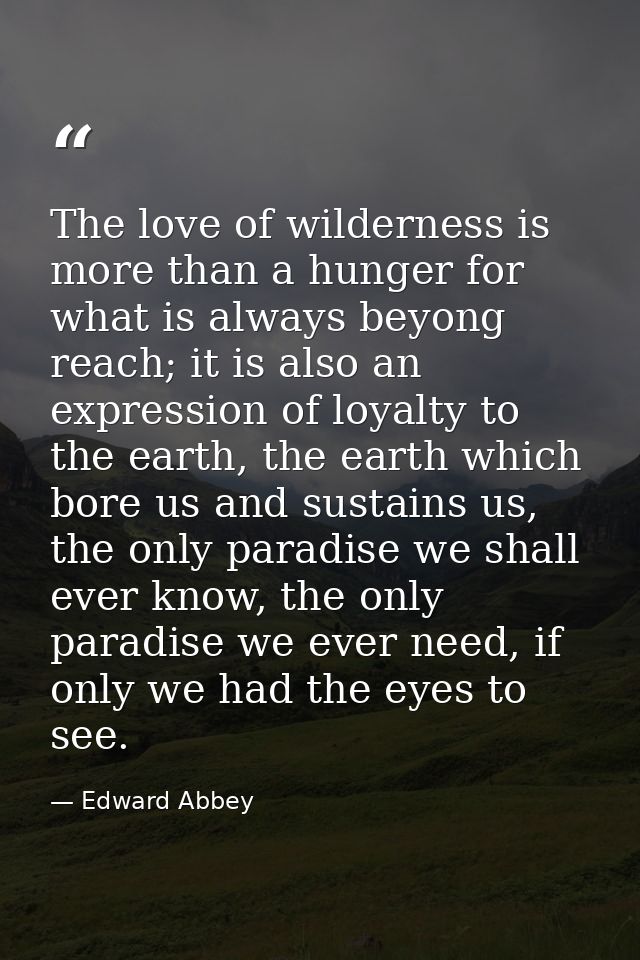 The love of wilderness is more than a hunger for what is always beyong reach; it is also an expression of loyalty to the — Edward Abbey
