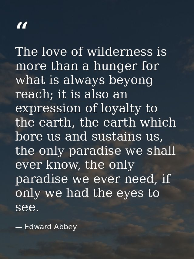 The love of wilderness is more than a hunger for what is always beyong reach; it is also an expression of loyalty to the — Edward Abbey