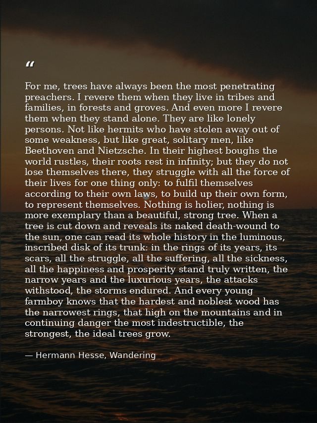 For me, trees have always been the most penetrating preachers. I revere them when they live in tribes and families, in f — Hermann Hesse, Wandering