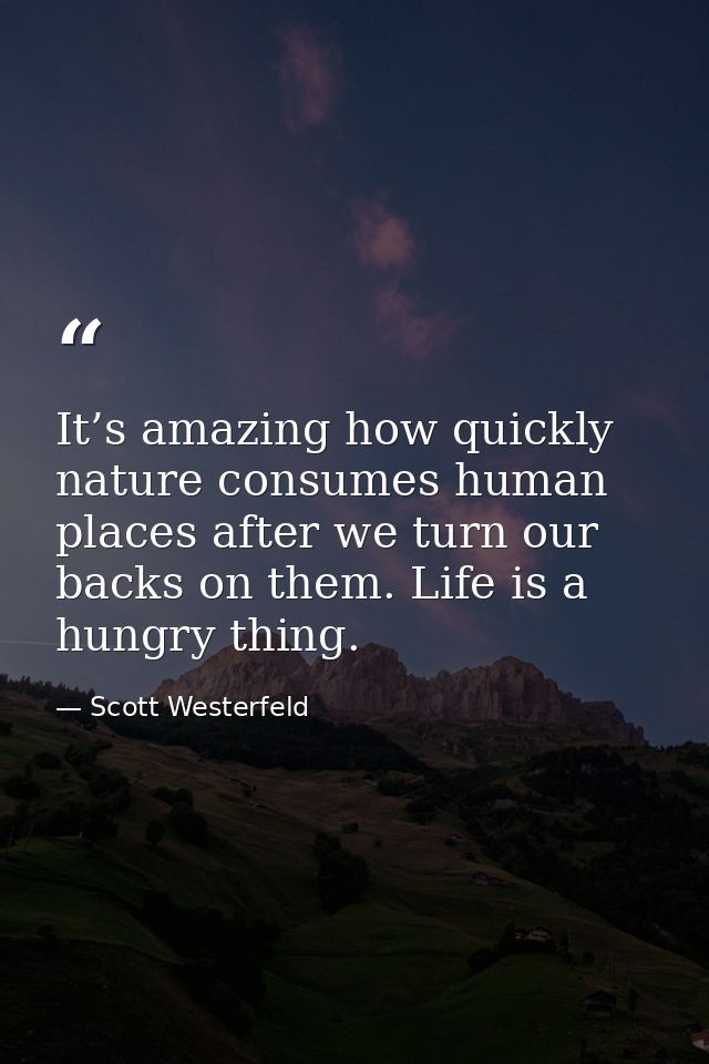 It’s amazing how quickly nature consumes human places after we turn our backs on them. Life is a hungry thing. — Scott Westerfeld