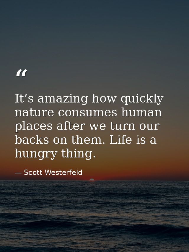 It’s amazing how quickly nature consumes human places after we turn our backs on them. Life is a hungry thing. — Scott Westerfeld