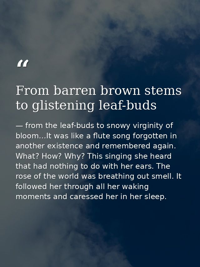 From barren brown stems to glistening leaf-buds — from the leaf-buds to snowy virginity of bloom…It was like a flute song forgotten in another existence and remembered again. What? How? Why? This singing she heard that had nothing to do with her ears. The rose of the world was breathing out smell. It followed her through all her waking moments and caressed her in her sleep.