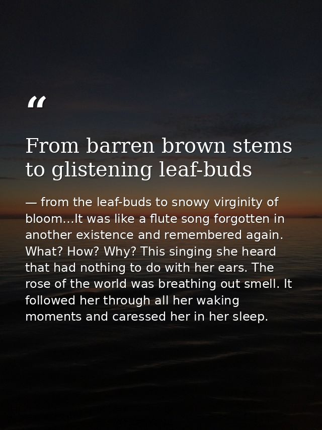 From barren brown stems to glistening leaf-buds — from the leaf-buds to snowy virginity of bloom…It was like a flute song forgotten in another existence and remembered again. What? How? Why? This singing she heard that had nothing to do with her ears. The rose of the world was breathing out smell. It followed her through all her waking moments and caressed her in her sleep.