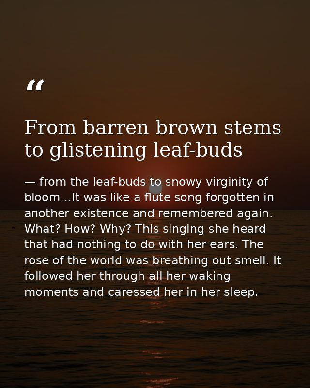 From barren brown stems to glistening leaf-buds — from the leaf-buds to snowy virginity of bloom…It was like a flute song forgotten in another existence and remembered again. What? How? Why? This singing she heard that had nothing to do with her ears. The rose of the world was breathing out smell. It followed her through all her waking moments and caressed her in her sleep.