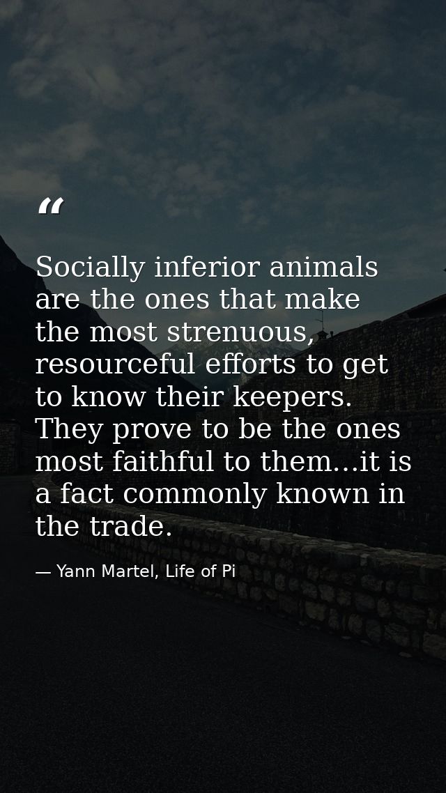 Socially inferior animals are the ones that make the most strenuous, resourceful efforts to get to know their keepers. T — Yann Martel, Life of Pi