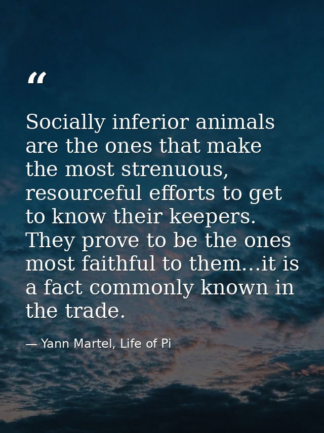 Socially inferior animals are the ones that make the most strenuous, resourceful efforts to get to know their keepers. T — Yann Martel, Life of Pi