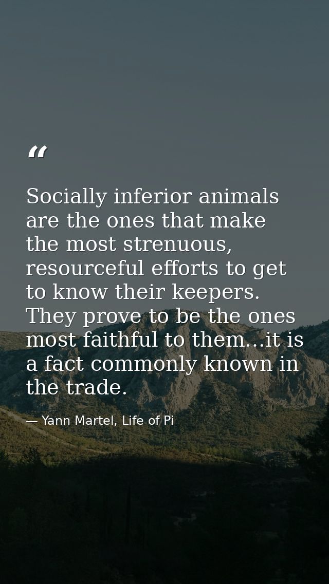 Socially inferior animals are the ones that make the most strenuous, resourceful efforts to get to know their keepers. T — Yann Martel, Life of Pi
