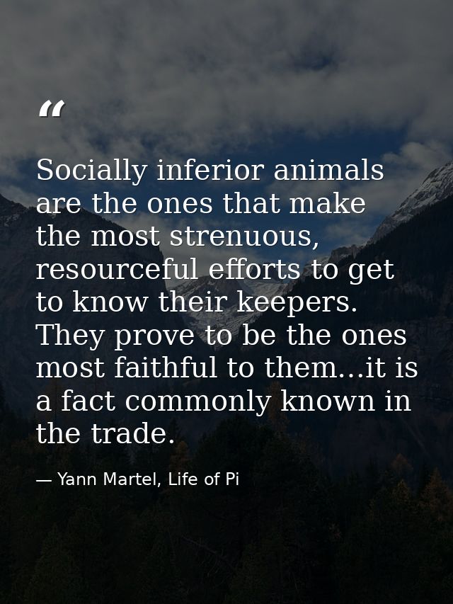 Socially inferior animals are the ones that make the most strenuous, resourceful efforts to get to know their keepers. T — Yann Martel, Life of Pi