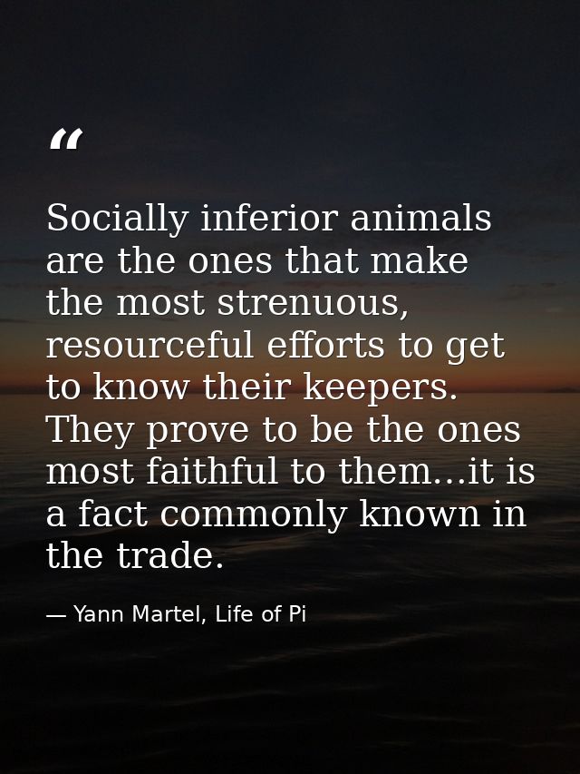 Socially inferior animals are the ones that make the most strenuous, resourceful efforts to get to know their keepers. T — Yann Martel, Life of Pi