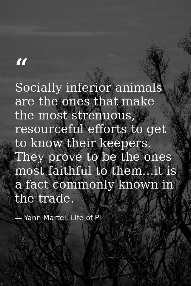 Socially inferior animals are the ones that make the most strenuous, resourceful efforts to get to know their keepers. T — Yann Martel, Life of Pi