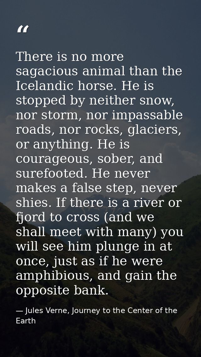 There is no more sagacious animal than the Icelandic horse. He is stopped by neither snow, nor storm, nor impassable roa — Jules Verne, Journey to the Center of the Earth