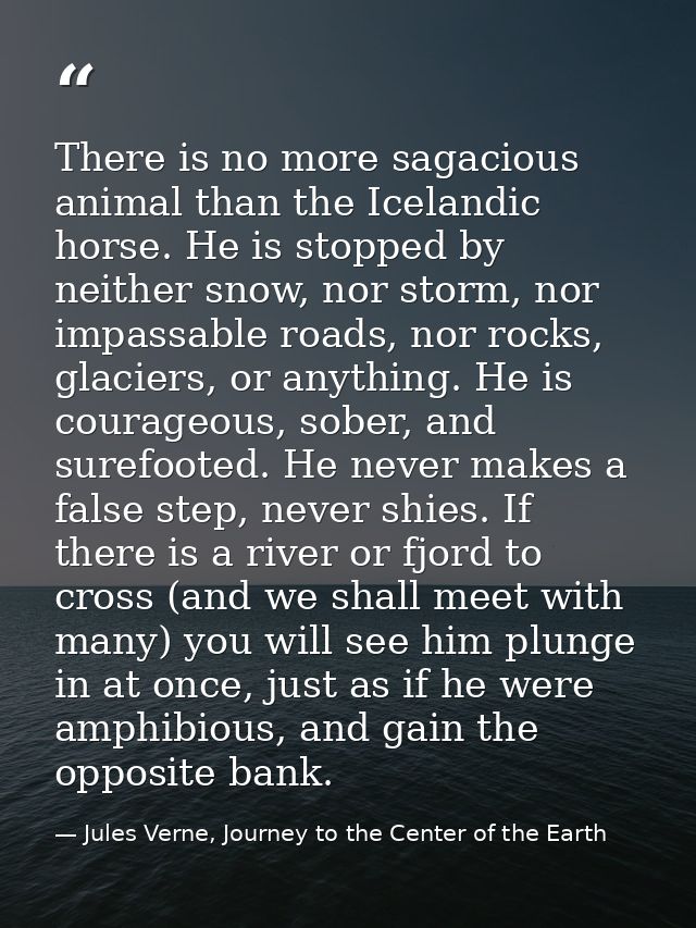 There is no more sagacious animal than the Icelandic horse. He is stopped by neither snow, nor storm, nor impassable roa — Jules Verne, Journey to the Center of the Earth