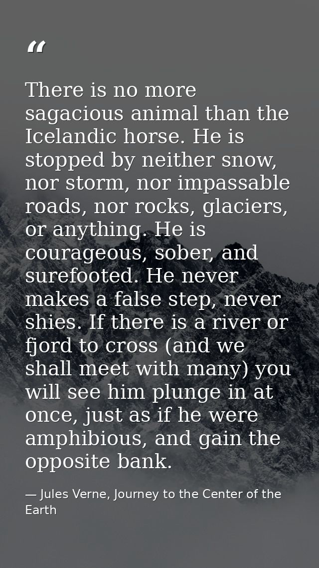 There is no more sagacious animal than the Icelandic horse. He is stopped by neither snow, nor storm, nor impassable roa — Jules Verne, Journey to the Center of the Earth