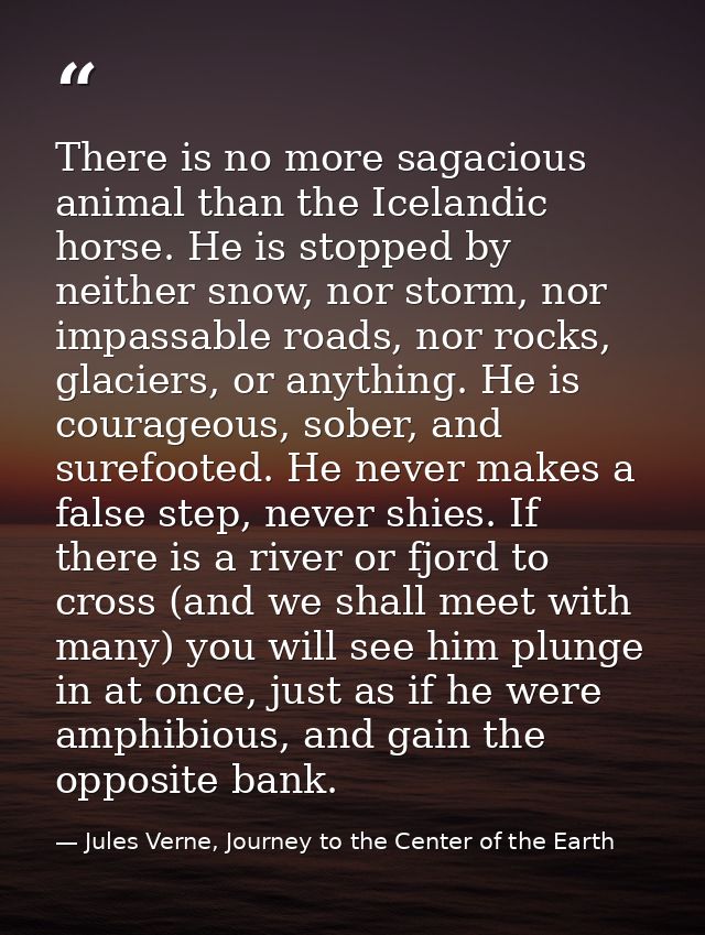 There is no more sagacious animal than the Icelandic horse. He is stopped by neither snow, nor storm, nor impassable roa — Jules Verne, Journey to the Center of the Earth