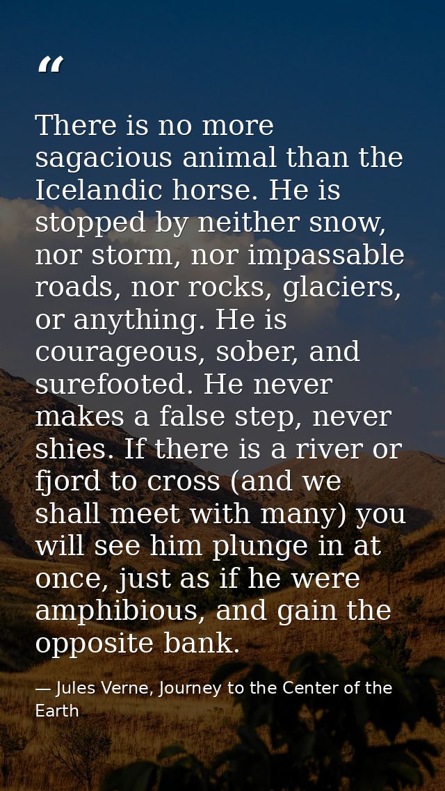 There is no more sagacious animal than the Icelandic horse. He is stopped by neither snow, nor storm, nor impassable roa — Jules Verne, Journey to the Center of the Earth