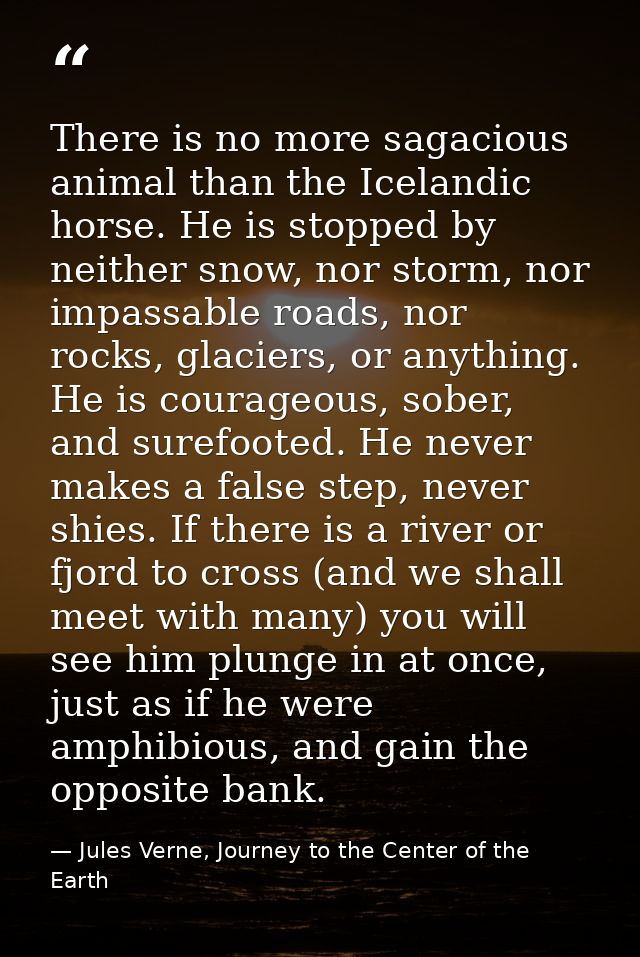 There is no more sagacious animal than the Icelandic horse. He is stopped by neither snow, nor storm, nor impassable roa — Jules Verne, Journey to the Center of the Earth