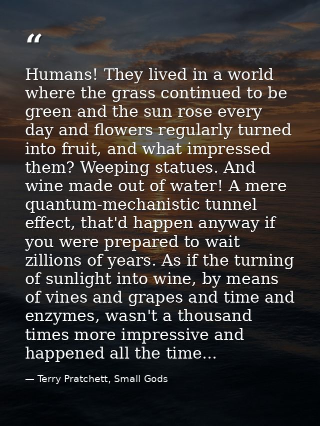 Humans! They lived in a world where the grass continued to be green and the sun rose every day and flowers regularly tur — Terry Pratchett, Small Gods