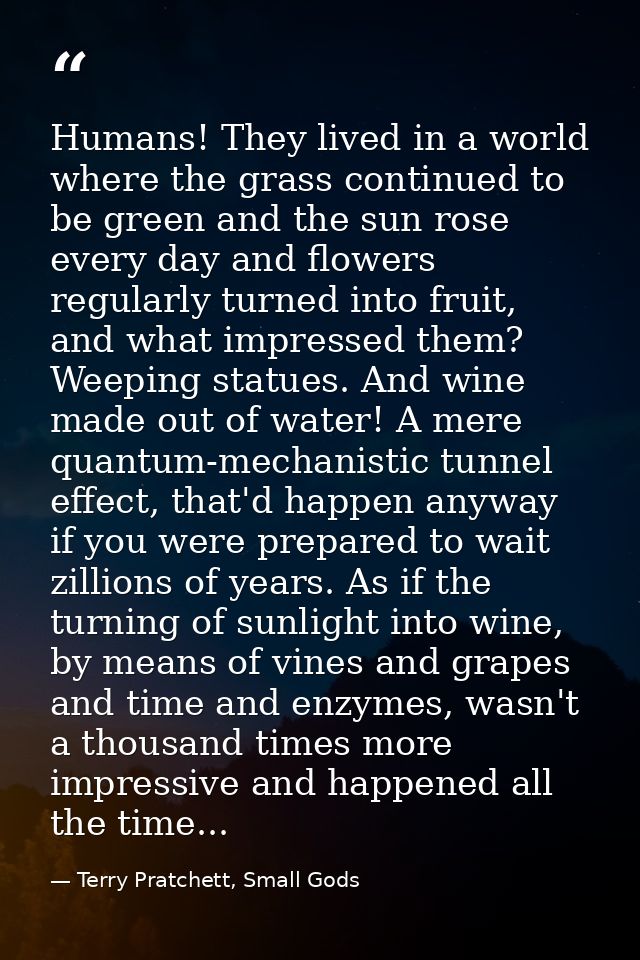 Humans! They lived in a world where the grass continued to be green and the sun rose every day and flowers regularly tur — Terry Pratchett, Small Gods