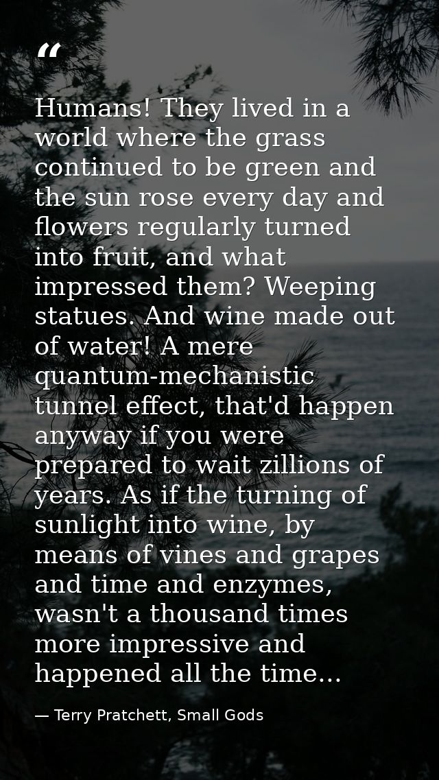 Humans! They lived in a world where the grass continued to be green and the sun rose every day and flowers regularly tur — Terry Pratchett, Small Gods