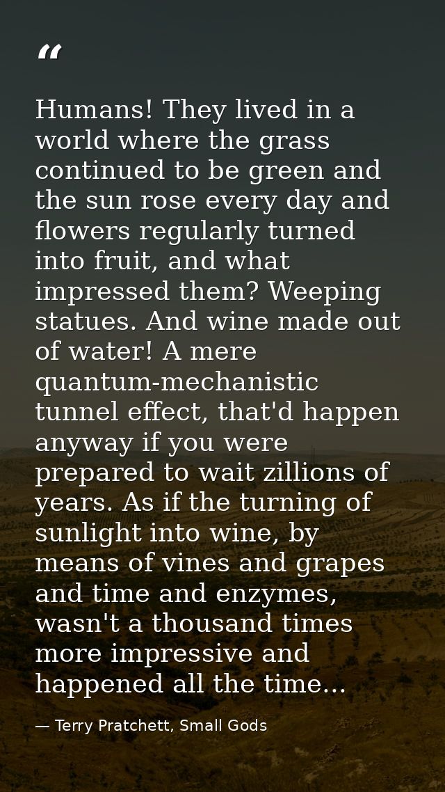 Humans! They lived in a world where the grass continued to be green and the sun rose every day and flowers regularly tur — Terry Pratchett, Small Gods
