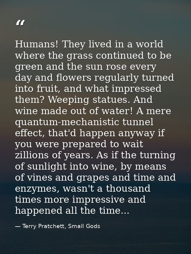 Humans! They lived in a world where the grass continued to be green and the sun rose every day and flowers regularly tur — Terry Pratchett, Small Gods