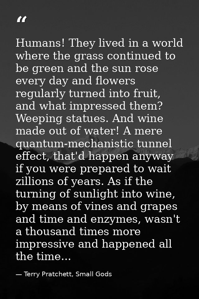Humans! They lived in a world where the grass continued to be green and the sun rose every day and flowers regularly tur — Terry Pratchett, Small Gods