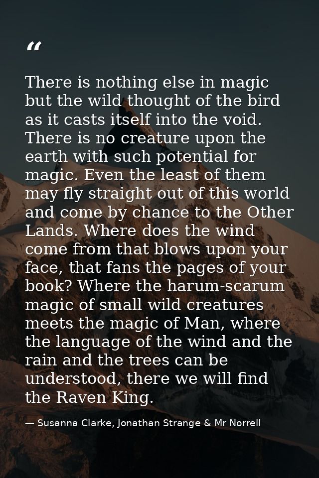 There is nothing else in magic but the wild thought of the bird as it casts itself into the void. There is no creature u — Susanna Clarke, Jonathan Strange & Mr Norrell