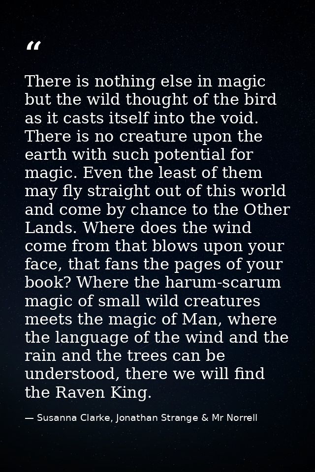 There is nothing else in magic but the wild thought of the bird as it casts itself into the void. There is no creature u — Susanna Clarke, Jonathan Strange & Mr Norrell
