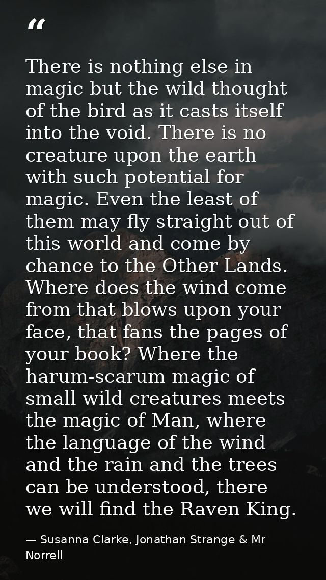 There is nothing else in magic but the wild thought of the bird as it casts itself into the void. There is no creature u — Susanna Clarke, Jonathan Strange & Mr Norrell