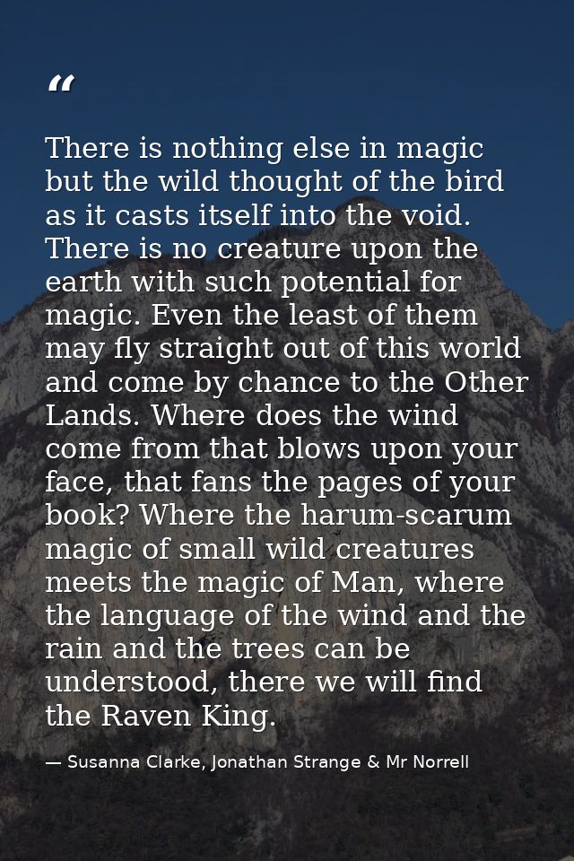 There is nothing else in magic but the wild thought of the bird as it casts itself into the void. There is no creature u — Susanna Clarke, Jonathan Strange & Mr Norrell