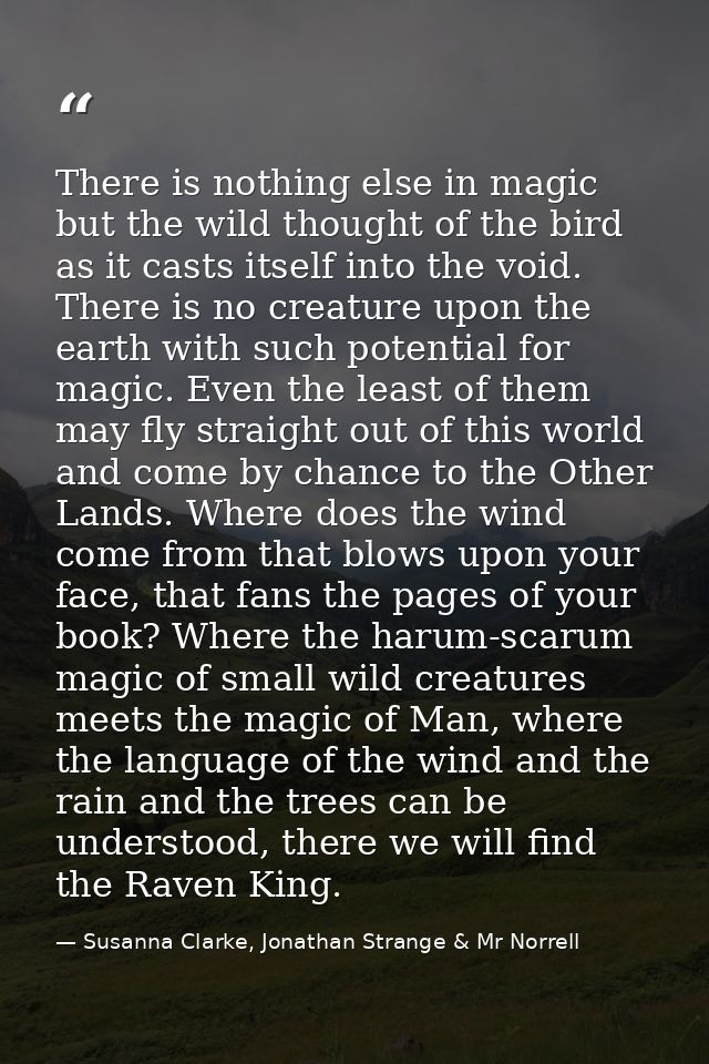 There is nothing else in magic but the wild thought of the bird as it casts itself into the void. There is no creature u — Susanna Clarke, Jonathan Strange & Mr Norrell