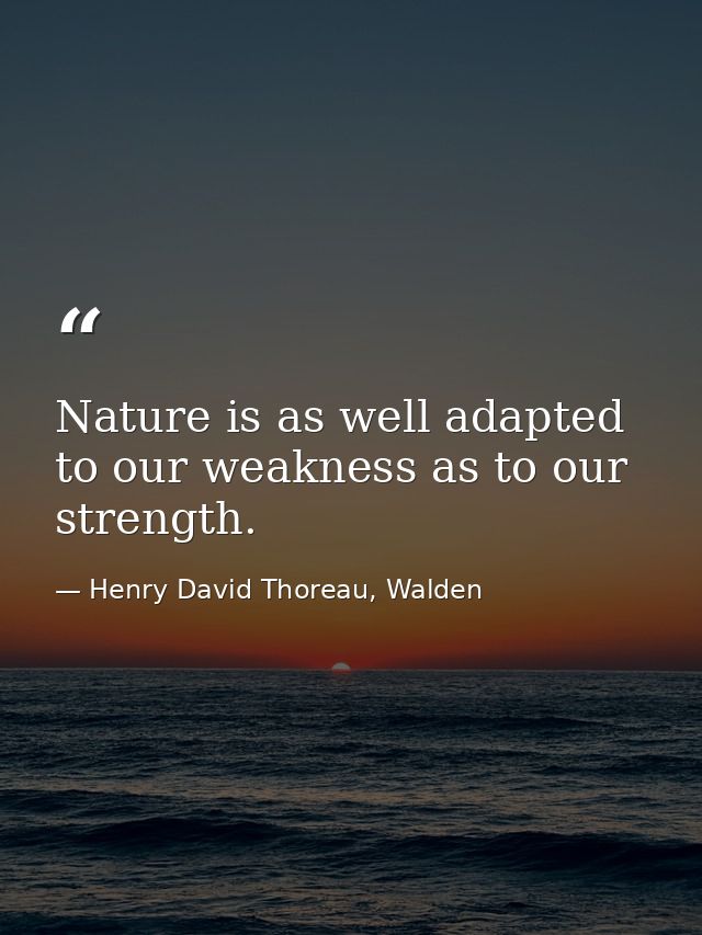 Nature is as well adapted to our weakness as to our strength. — Henry David Thoreau, Walden