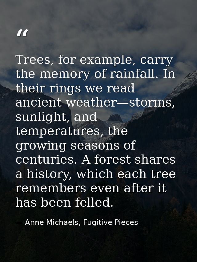 Trees, for example, carry the memory of rainfall. In their rings we read ancient weather—storms, sunlight, and temperatu — Anne Michaels, Fugitive Pieces