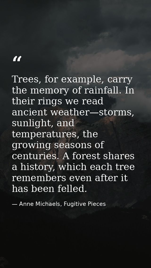 Trees, for example, carry the memory of rainfall. In their rings we read ancient weather—storms, sunlight, and temperatu — Anne Michaels, Fugitive Pieces