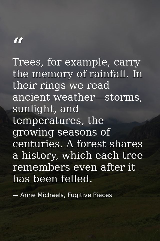 Trees, for example, carry the memory of rainfall. In their rings we read ancient weather—storms, sunlight, and temperatu — Anne Michaels, Fugitive Pieces