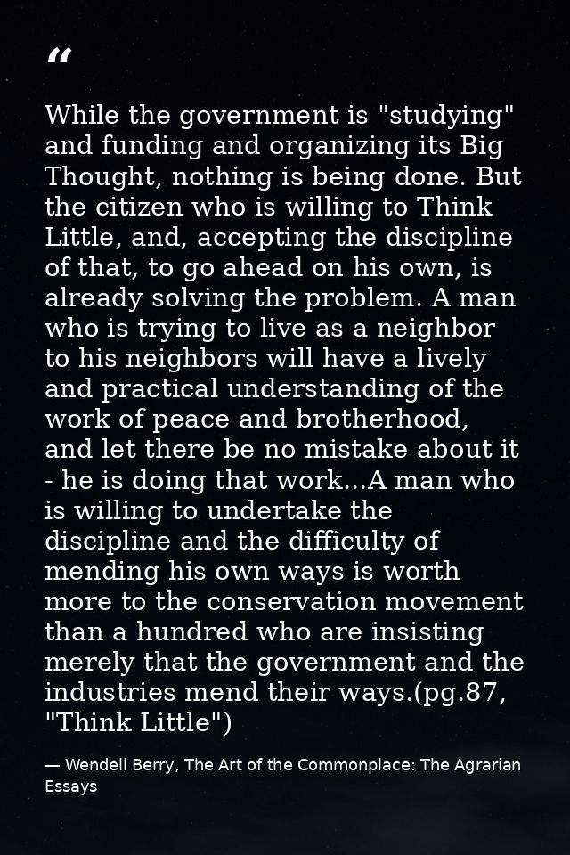 While the government is "studying" and funding and organizing its Big Thought, nothing is being done. But the citizen wh — Wendell Berry, The Art of the Commonplace: The Agrarian Essays