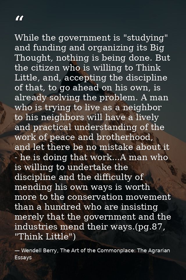 While the government is "studying" and funding and organizing its Big Thought, nothing is being done. But the citizen wh — Wendell Berry, The Art of the Commonplace: The Agrarian Essays