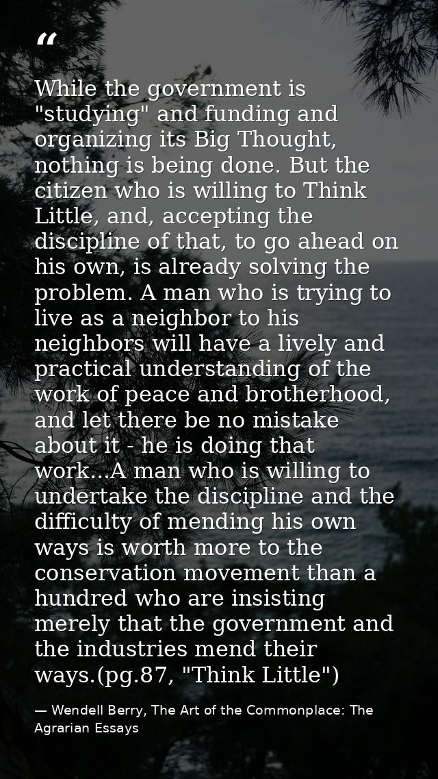 While the government is "studying" and funding and organizing its Big Thought, nothing is being done. But the citizen wh — Wendell Berry, The Art of the Commonplace: The Agrarian Essays
