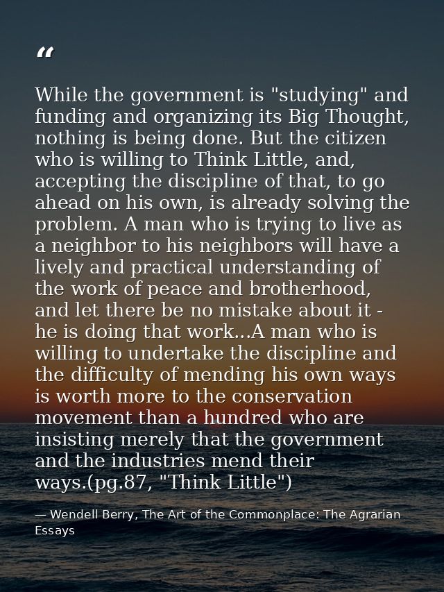 While the government is "studying" and funding and organizing its Big Thought, nothing is being done. But the citizen wh — Wendell Berry, The Art of the Commonplace: The Agrarian Essays