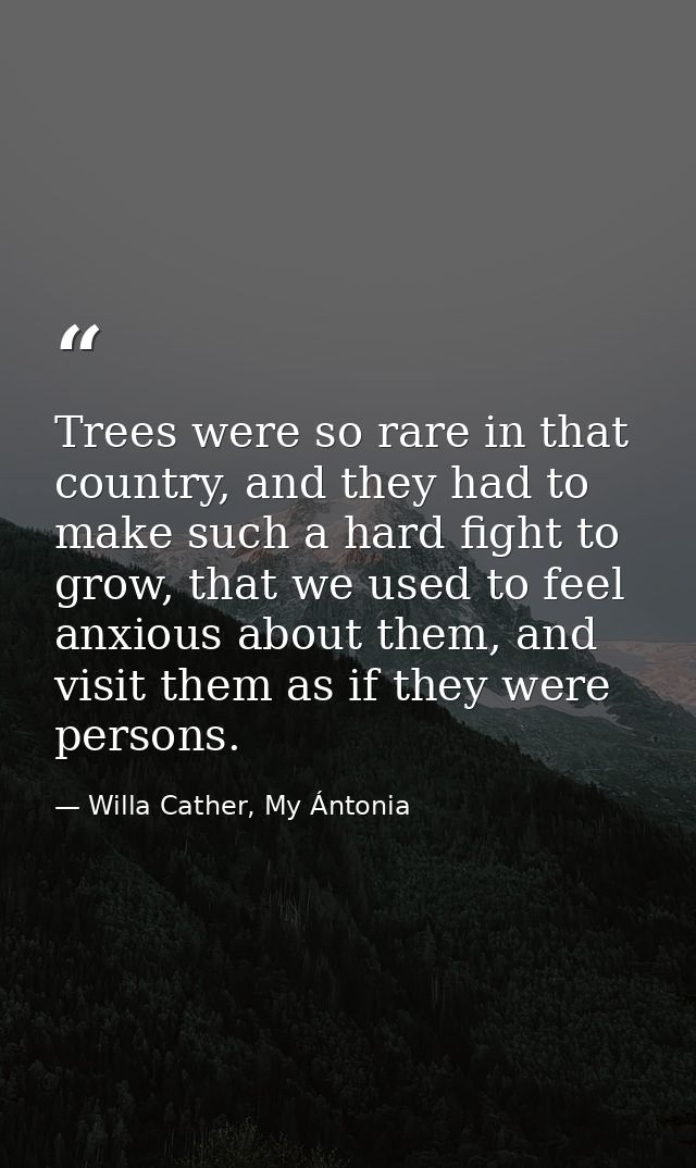 Trees were so rare in that country, and they had to make such a hard fight to grow, that we used to feel anxious about t — Willa Cather, My Ántonia