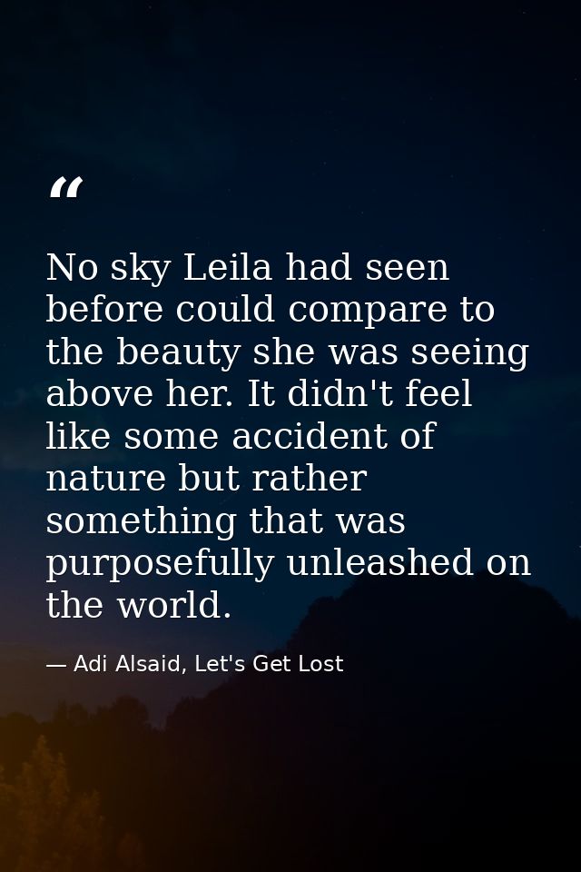 No sky Leila had seen before could compare to the beauty she was seeing above her. It didn't feel like some accident of  — Adi Alsaid, Let's Get Lost