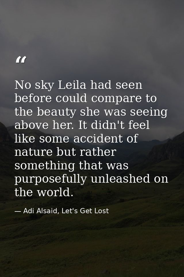 No sky Leila had seen before could compare to the beauty she was seeing above her. It didn't feel like some accident of  — Adi Alsaid, Let's Get Lost