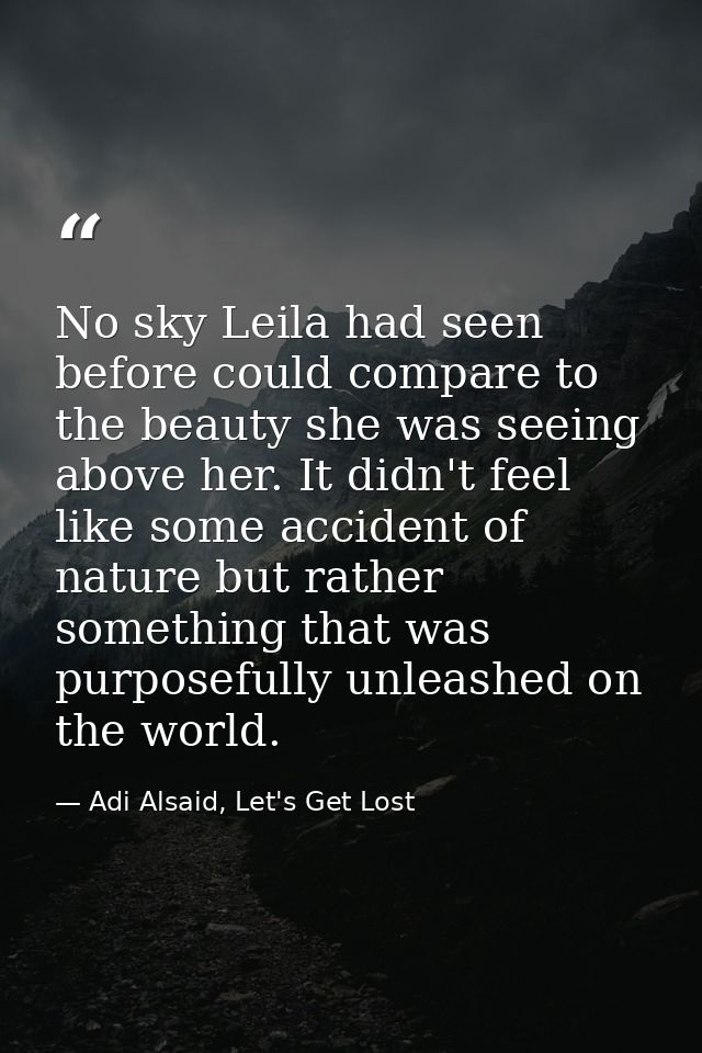 No sky Leila had seen before could compare to the beauty she was seeing above her. It didn't feel like some accident of  — Adi Alsaid, Let's Get Lost